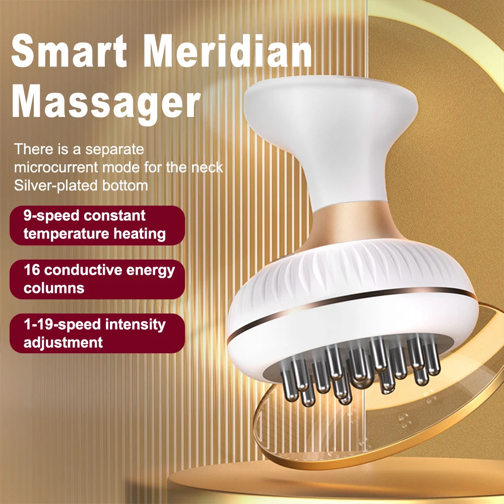 Electric Meridian Brush