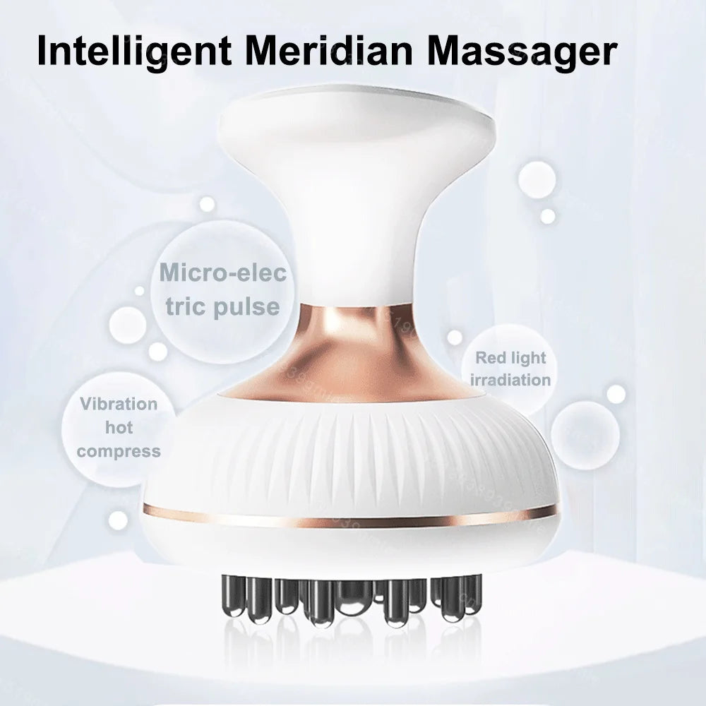 Electric Meridian Brush