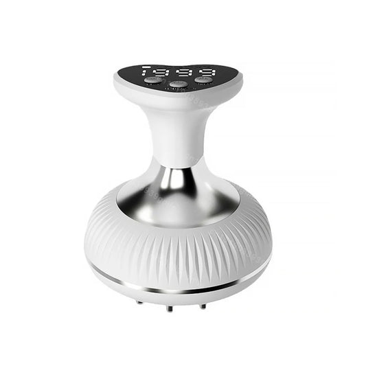 Electric Meridian Brush